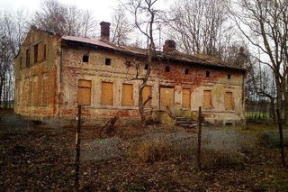 Góry Łosiowe to widowiskowe wzniesienia w Kujawsko-Pomorskiem. Leżą na najlepiej zachowanym w Polsce polu wydmowym