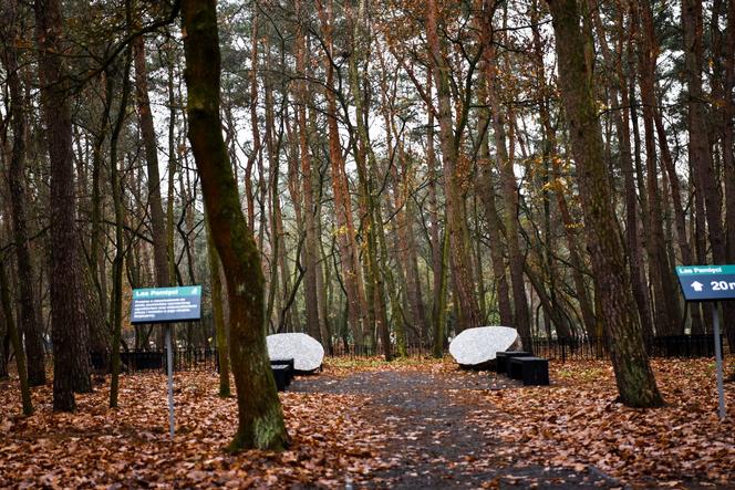 Na cmentarzu junikowskim powstał Las Pamięci