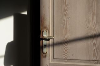 Dramat pod Kruszwicą. Kto naprawdę odpowiada za bezdomność szczeniaków?