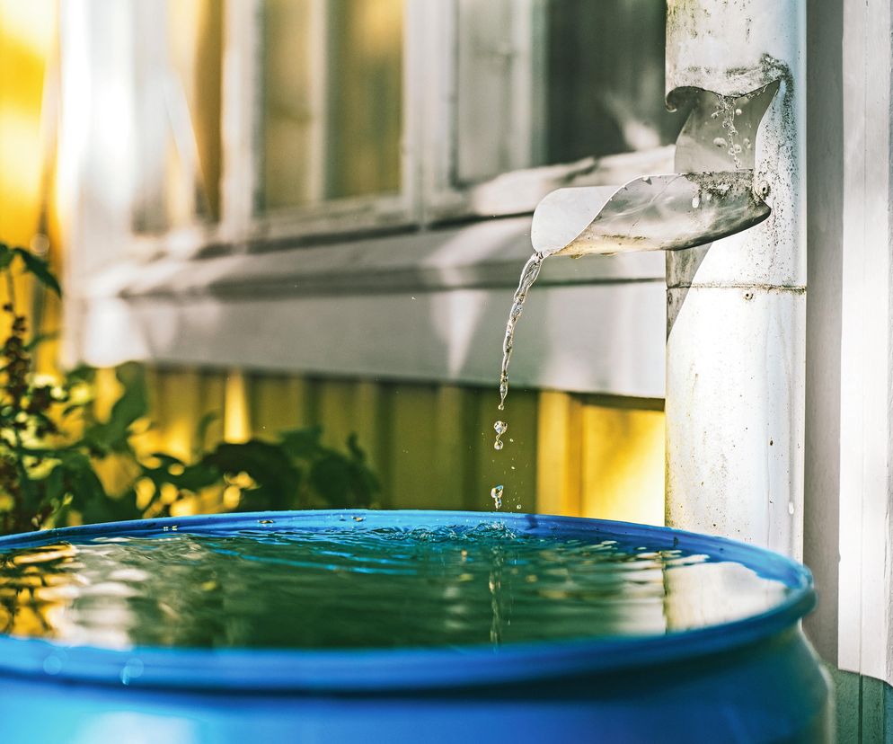 Rusza wielki program. Chodzi o wodę i 100 milionów złotych