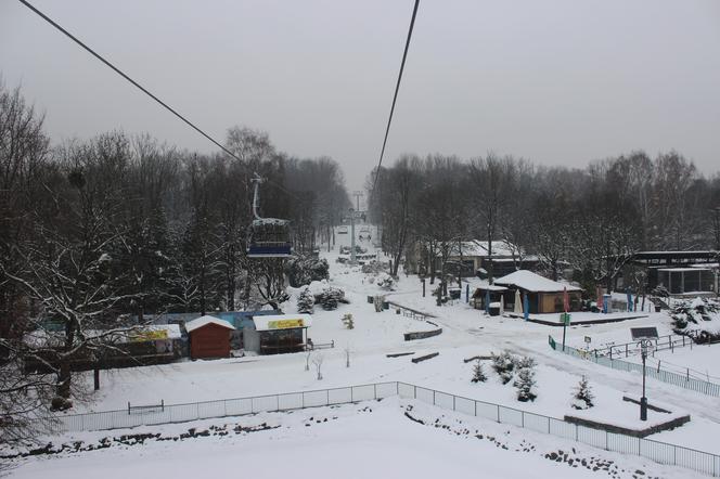 "Elka" w Parku Śląskim. Widok z góry