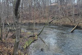 To najdłuższa rzeka województwa. Nazywana jest królową Warmii i Mazur
