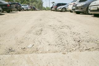 Chrząszcz blokuje budowę drogi