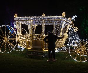  „Laboratorium Światła” w Lumina Parku w Lublinie w sezonie 2024/2025