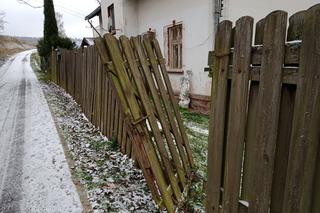 Violetta Villas poszła w zapomnienie 