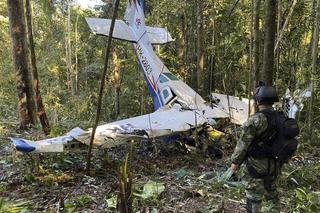 Czwórka dzieci przeżyła katastrofę samolotu w dżungli?! Trwają poszukiwania