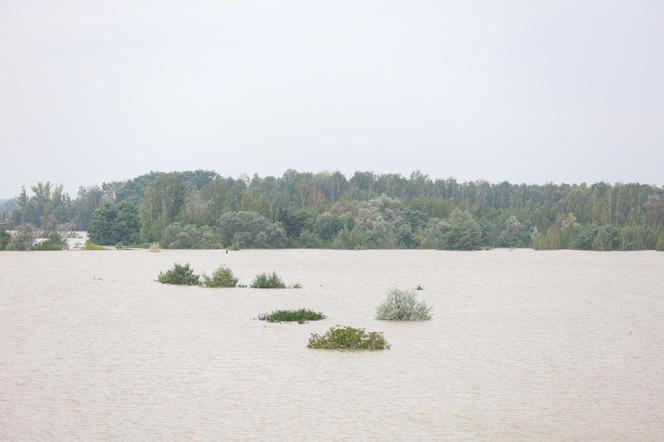 Przeciek na zaporze Racibórz. Na miejscu wojsko. Nowe informacje