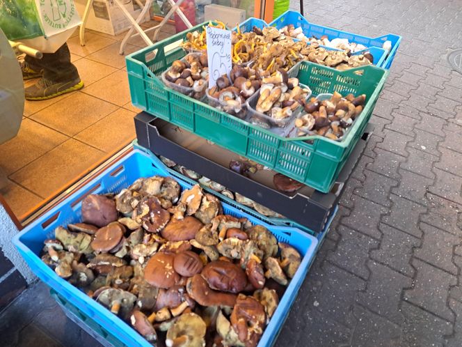 Ceny grzybów na Nowym i Starym Kleparzu w Krakowie