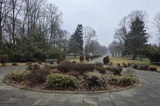  Zespół Pałacowo-Parkowy w Wysocku