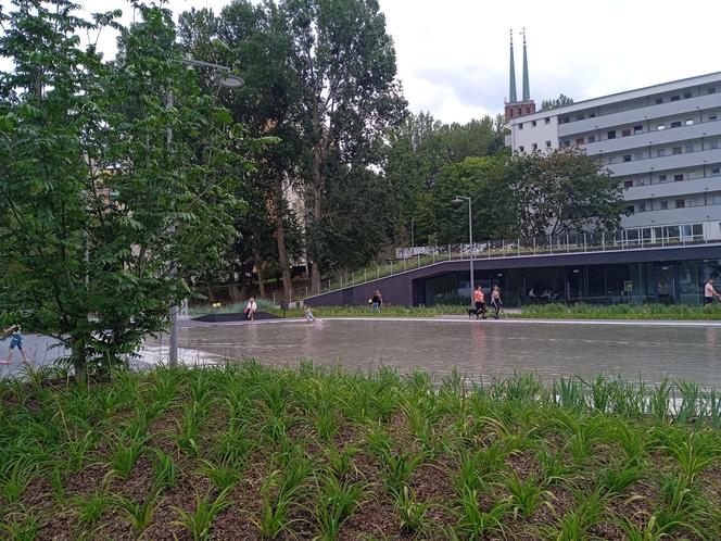 Park centralny w Gdyni. Atrakcje dla dzieci i dorosłych