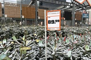 Ceny choinek w Krakowie szokują. Nawet 1299 zł za sztuczne drzewko! 