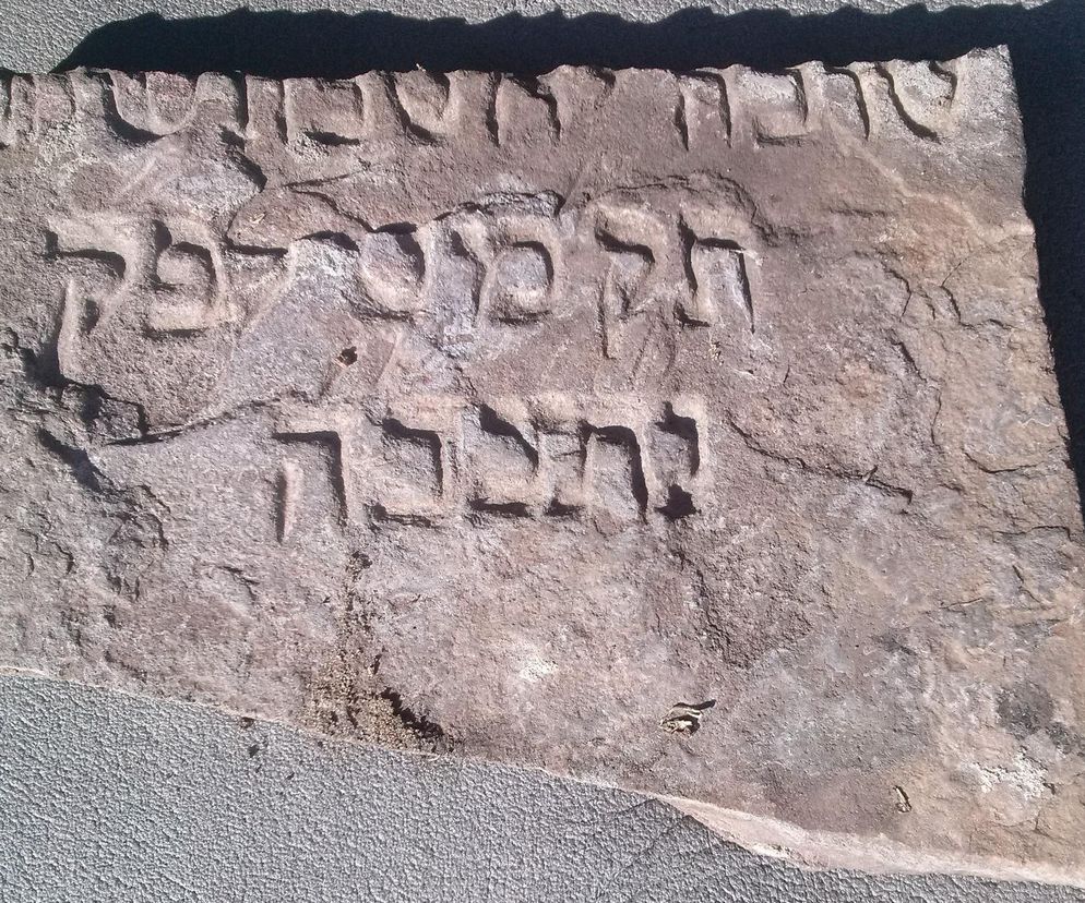 Fragment macewy z XVIII wieku został wyrzucony przy sprzątaniu ogródka. Takie historie w Starym Fordonie 