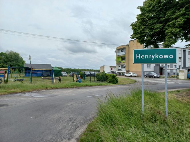 Postawili "majowe drzewko". Impreza integracyjna w Henrykowie koło Leszna