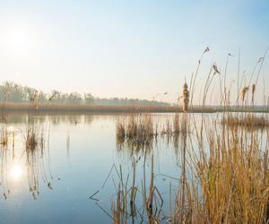 Jezioro Ostrowite, Zdroisko