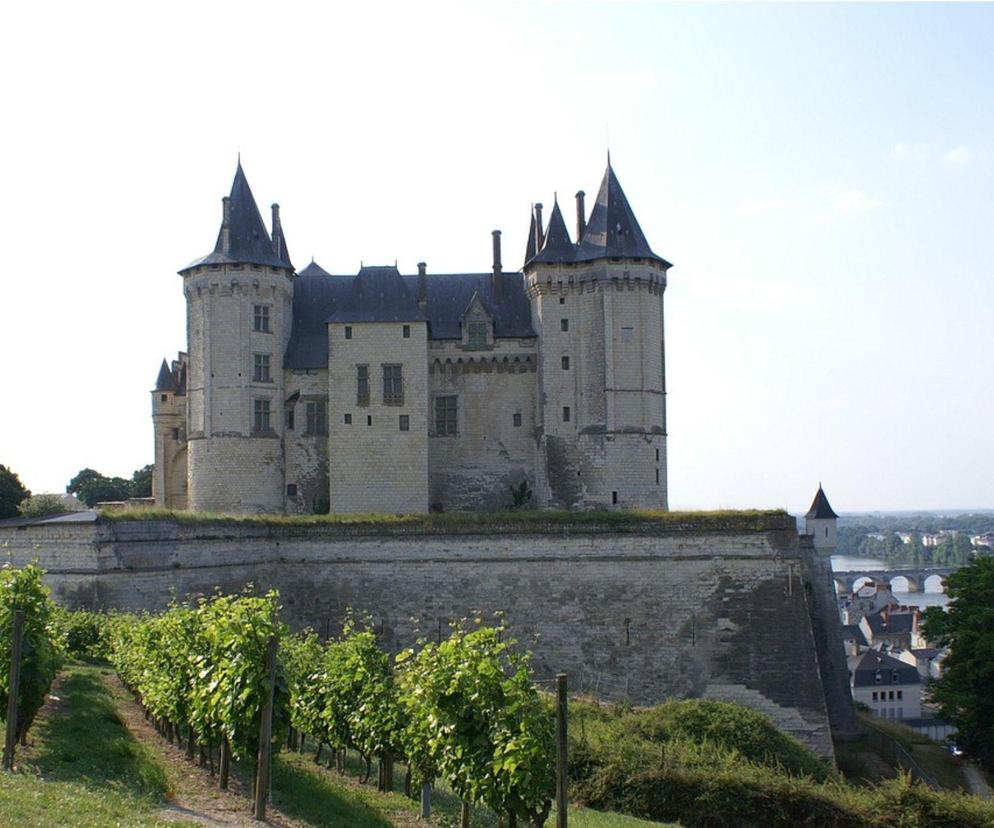Zamek Saumur, Dolina nad Loarą, Francja