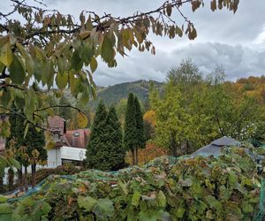 To jedno z najstarszych polskich uzdrowisk najpiękniej wygląda jesienią. Kurowali się w nim Sienkiewicz, Prus, Matejko i Konopnicka