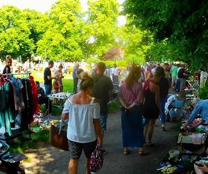 Pchli targ na pl. im. Waleriana Pawłowskiego