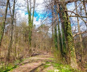 Park Czechówek do rewitalizacji