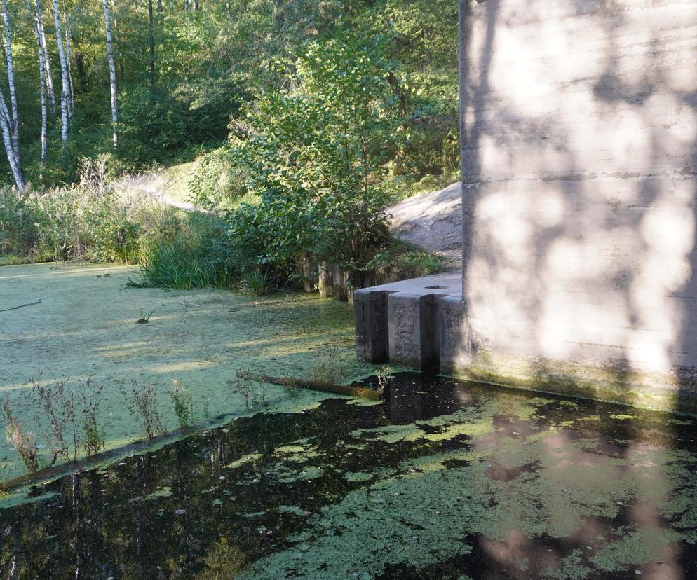 Monumentalna śluza Leśniewo z symbolami III Rzeszy ukryta w mazurskim lesie. Jest owiana tajemnicą [ZDJĘCIA]