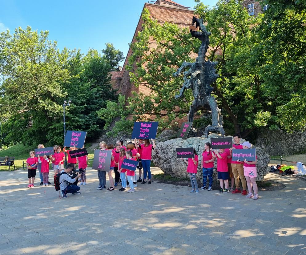 Zgromadzili się, bo los jeży nie jest im obojętny. Jeżowa manifestacja w Krakowie 