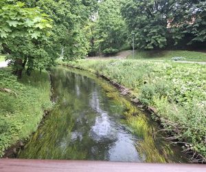 W tym mieście poczujesz się jak w Wenecji. Włoski klimat na północy Polski