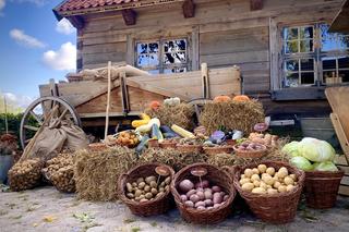 Smaki jesieni w skansenie. Zobacz, co działo się na imprezie w Olsztynku [ZDJĘCIA]