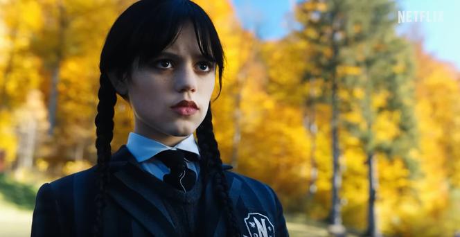 Najlepsze cytaty z Wednesday Addams. Sprawdź, w oczekiwaniu na 2. sezon serialu "Wednesday"