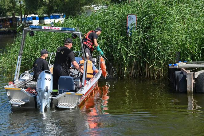 Jezioro Dąbie i śnięte ryby 