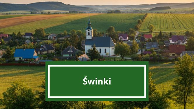 Świnki – wieś w gminie Jarosław, powiat jarosławski.        