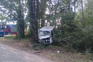 Bus rozbił się na drzewie. Wielu poszkodowanych, śmigłowiec LPR w akcji