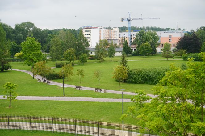 Park Zdrojowy w Busku