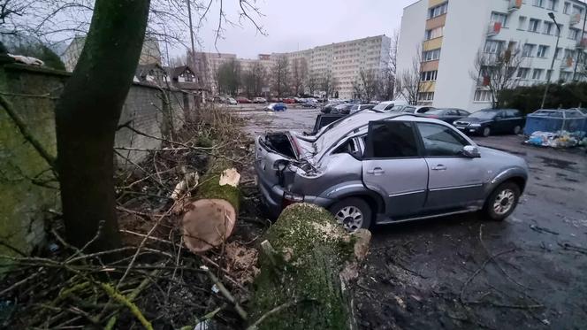 Powalone drzewa uszkodziły zaparkowane samochody