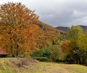 Małopolska wieś, która zachwyciła filmowców. Jesienią można poczuć się jak na planie