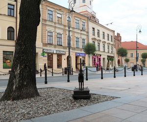 „Konik na biegunach” - nowa instalacja w Lublinie