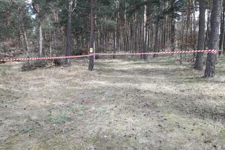 Zakaz wstępu do lasu