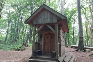 Góra Chełm w powiecie strzyżowskim na Podkarpaciu [GALERIA]