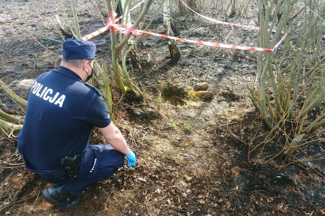  Niewypały z okresu II Wojny Światowej odnaleziono w rejonie Lasu Winiarskiego