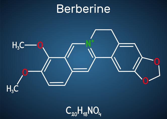 Berberyna 