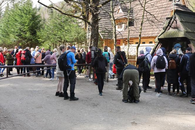 Tłumy turystów w Dolinie Kościeliskiej przed majówką