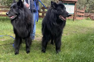 I Spacer Śladami Kliforda w Grudziądzu