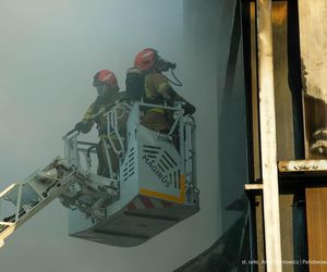  Kawle. Pożar zakładu przetwórstwa drobiowego. 120 strażaków walczy z żywiołem w czwartek, 14 sierpnia. Jeden z nich zaginął [ZDJĘCIA]