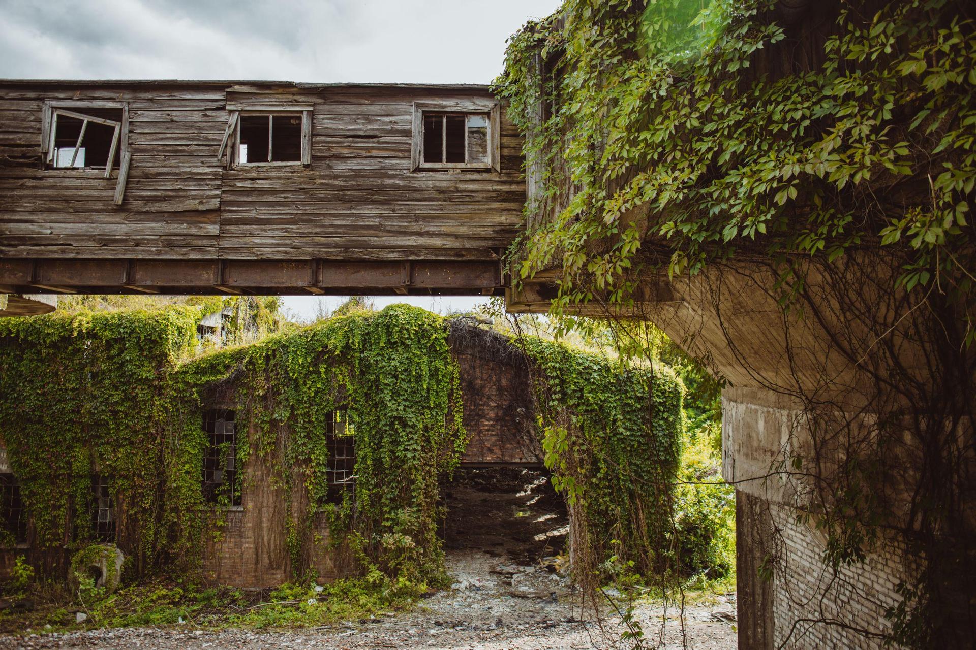 Królewska Papiernia w Konstancinie