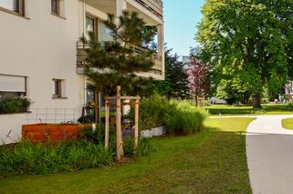 6 rad dla właścicieli małych ogródków przy mieszkaniu w bloku. Co zrobić, by cieszyć się z ogrodu w mieście?