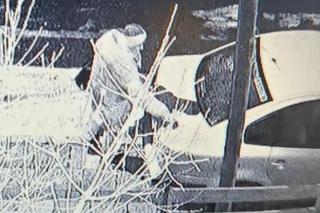 Seniorka niszczy karoserię samochodów we Wrocławiu. Nie mogą jej zidentyfikować