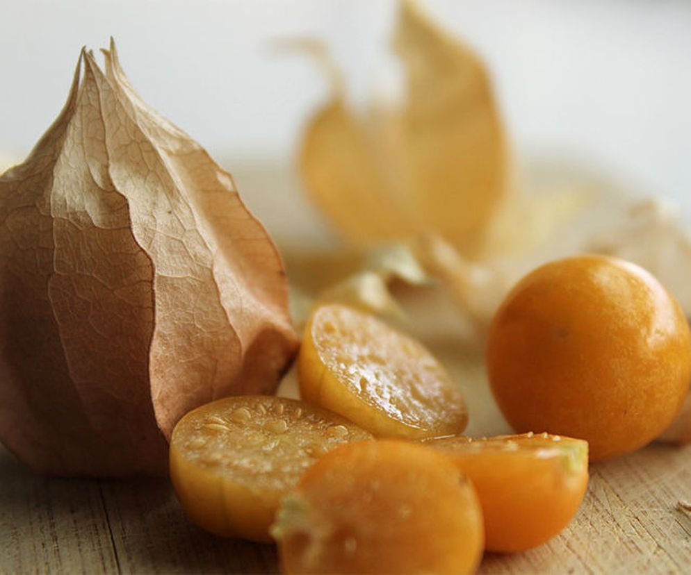 Owoce miechunki jadalnej zamknięte są w papierowej otoczce, która wyglądem przypomina chiński lampion. Fot. Ph0705/Wikimedia Commons, lic. CC BY-SA 4.0.