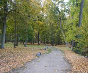 Park Lubomirskich w Białymstoku jesienią 