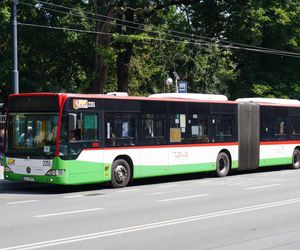 MPK Lublin szuka kierowców. Ile zarobisz za kierownicą autobusu lub „trajtka”?