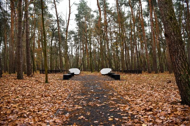 Na cmentarzu junikowskim powstał Las Pamięci