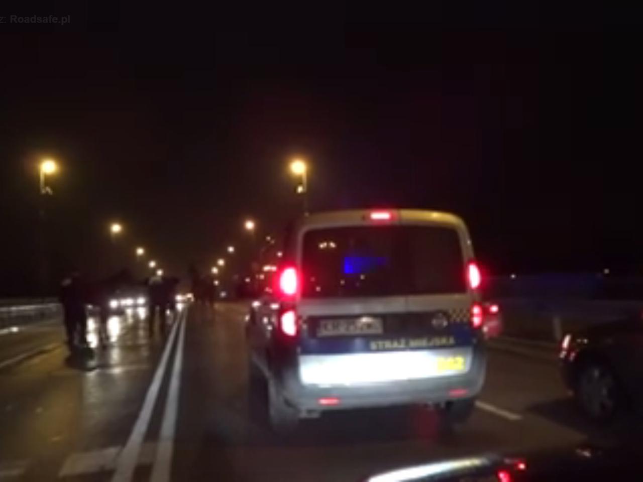 Strażnicy miejscy łapali... konie biegające po Alejach Trzech Wieszczów [WIDEO]