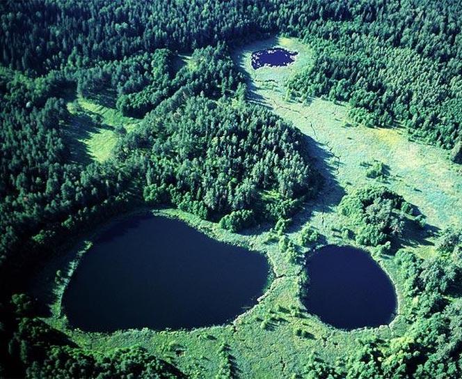 Wigierski Park Narodowy. To bezcenny obszar podlaskiej natury